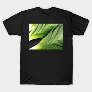 Leek Lines T-Shirt